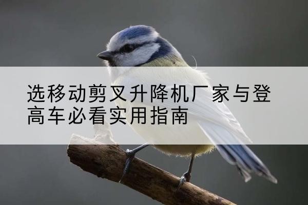 新余电动升降机厂家-选移动剪叉升降机厂家与登高车必看实用指南