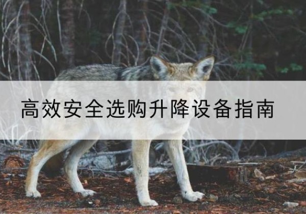 新余升降货梯厂家推荐-*安全选购升降设备指南